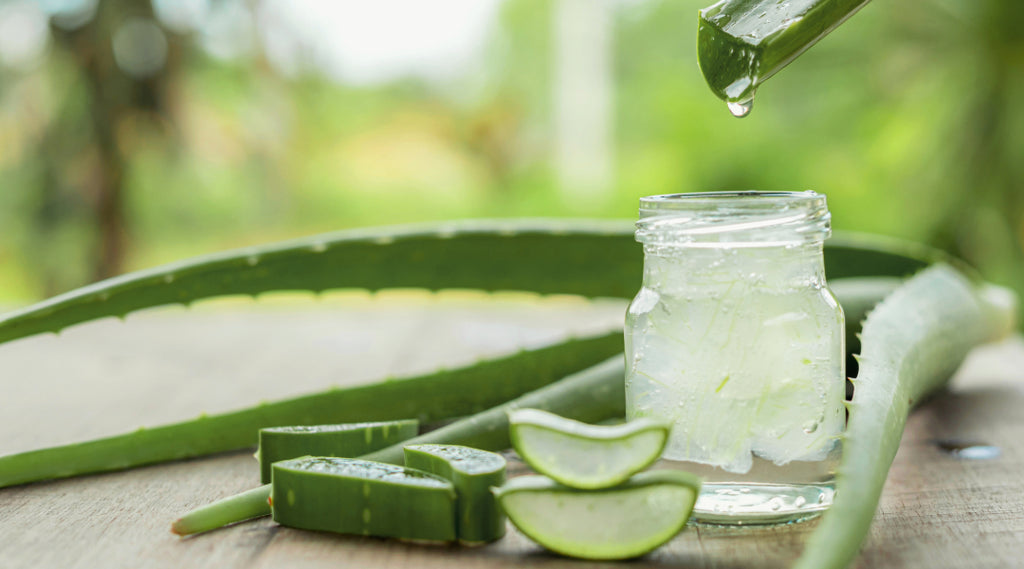 hyaluronsäure aloe vera Hyaluron Creme - mit Aloe vera-Blattsaft, Hyaluronsäure und Lavendel main image 0
