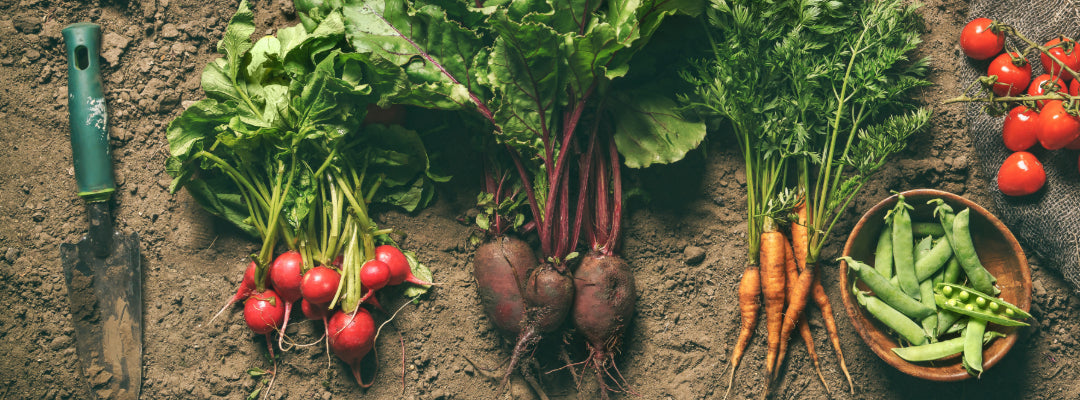 Organic Farming is Flavour. Organic Hair Care is Potency.